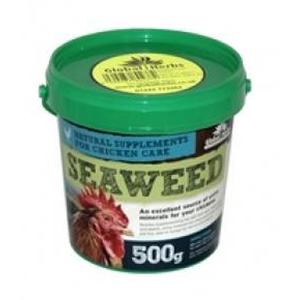 GLOBAL HERBS SEAWEED 500g Image 1