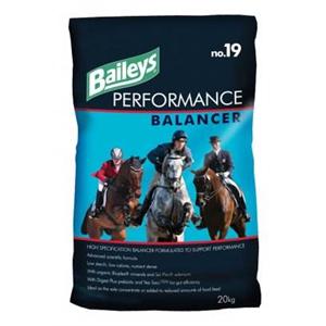 BAILEYS NO 19 PERFORMANCE BALANCER 20KGS Image 1