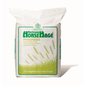 HORSEHAGE GREEN RYEGRASS  Image 1