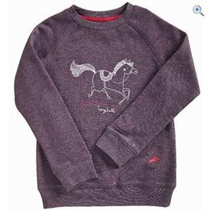 HARRY HALL FIRBECK JUNIOR SWEATSHIRT - AUBERGINE Image 1
