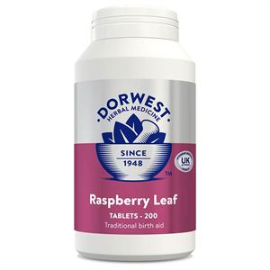 DORWEST VETERINARY RASPBERRY LEAF 200 TABLETS Image 1