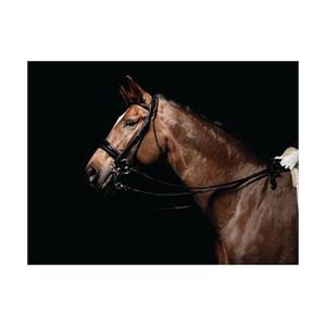 CALDENE PATENT PADDED DRESSAGE DOUBLE BRIDLE Image 1