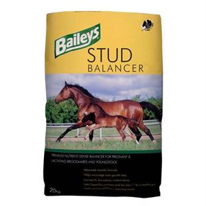 BAILEYS BSB STUD BALANCER 20KG Image 1