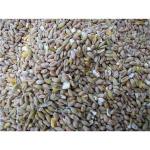 TITMUSS MIXED CORN 20KGS Image 1