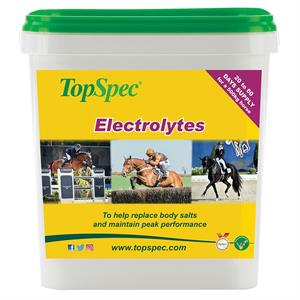 TOPSPEC ELECTROLYTES 3KG Image 1