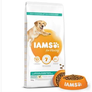IAMS for Vitality Light in fat  Dog food with Fresh chicken 12kg Image 1