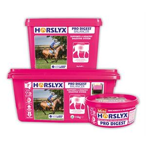 HORSLYX PRO DIGEST BALANCER LICK 5KGS  Image 1