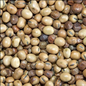 Bamfords Channel Mix 20kgs Image 1