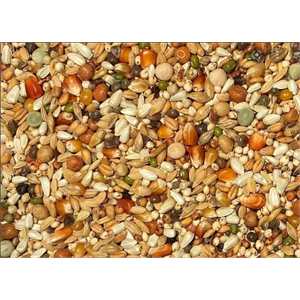 Bamfords Basic Pigeon Maintenance Mix 20kg Image 1