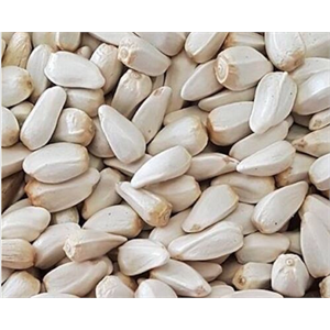 SAFFLOWER SEED 20KGS Image 1