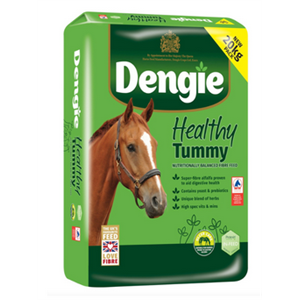 DENGIE HEALTHY TUMMY 20Kgs Image 1