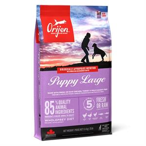 ORIJEN PUPPY FOOD LARGE BREED 11.4KG  Image 1