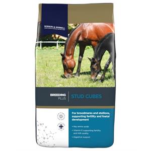 DODSON & HORRELL STUD CUBES 20KG *Available to Order* Image 1