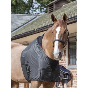 LEMIEUX ANTI RUB BIB Image 1