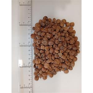 Mixed Tiger Nuts for Fishing 20kgs (6-15mm) Image 1