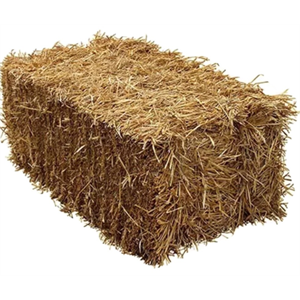 BALE OF BARLEY STRAW Image 1