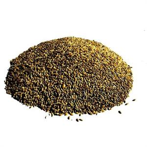 TITMUSS PLAIN CANARY 20KG Image 1