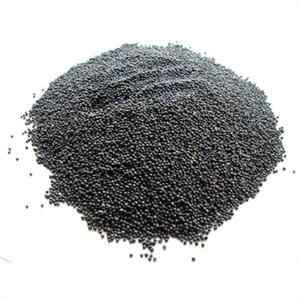 TITMUSS BLACK RAPESEED 20KGS Image 1