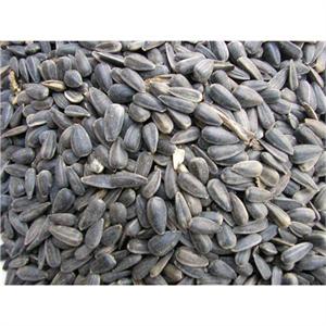 BLACK SUNFLOWER 15KG Image 1