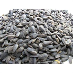 BLACK SUNFLOWER 2KG Image 1