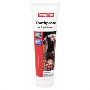 BEAPHAR TOOTHPASTE 100G Image 1