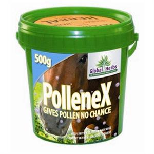 GLOBAL HERBS POLLENEX 500G TUB Image 1