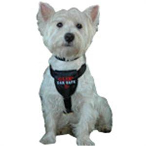 CLIX CAR SAFE - EXTRA SMALL Image 1