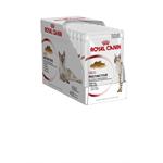 ROYAL CANIN ADULT INSTINCTIVE CAT POUCH in JELLY 12*85G Thumbnail Image 2