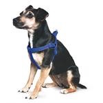 ANCOL PADDED DOG HARNESS SIZE 3-4 SMALL Thumbnail Image 2