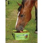 HORSLYX RESPIRATORY 15KG  Thumbnail Image 1