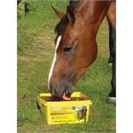 HORSLYX GARLIC 5KG Thumbnail Image 1