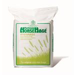 HORSEHAGE GREEN RYEGRASS  thumbnail