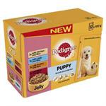 PEDIGREE POUCH in JELLY PUPPY 12*100G thumbnail