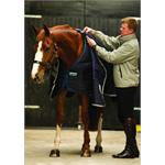 HORSEWARE LINER 200G thumbnail