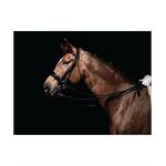 CALDENE PATENT PADDED DRESSAGE DOUBLE BRIDLE thumbnail