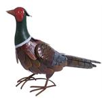 SUPA ORNAMENTAL PHEASANT thumbnail
