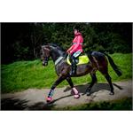 HARRY HALL HI VIZ SADDLECLOTH Thumbnail Image 1