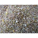 TITMUSS MIXED CORN 20KGS thumbnail