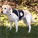 TRIXIE FLASH SAFETY VEST USB LGE 60-80CM BLACK thumbnail