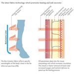 WOOF WEAR BIOCERAMIC STABLE BOOT Thumbnail Image 2