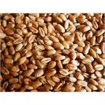 TITMUSS WHEAT 20KGS thumbnail