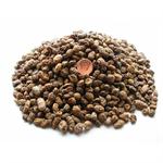 STANDARD TIGER NUTS 3KG thumbnail