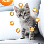 IAMS KITTEN & JUNIOR FOOD 0-1 YEARS 10KG Thumbnail Image 1