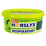 HORSLYX RESPIRATORY MINI LICKS 650G thumbnail