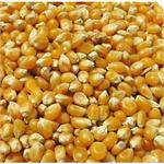 TITMUSS FRENCH MAIZE 20KG thumbnail