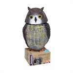 DEFENDERS ACTION OWL thumbnail