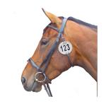 EQUIDISC 3 NUMBER Thumbnail Image 1