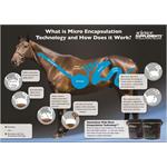 SCIENCE SUPPLEMENTS COMPLETE ELECTROLYTES 2KG Thumbnail Image 1