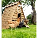 Chickenguard Premium Door Opener Thumbnail Image 1