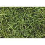 READIGRASS 15KG Thumbnail Image 1